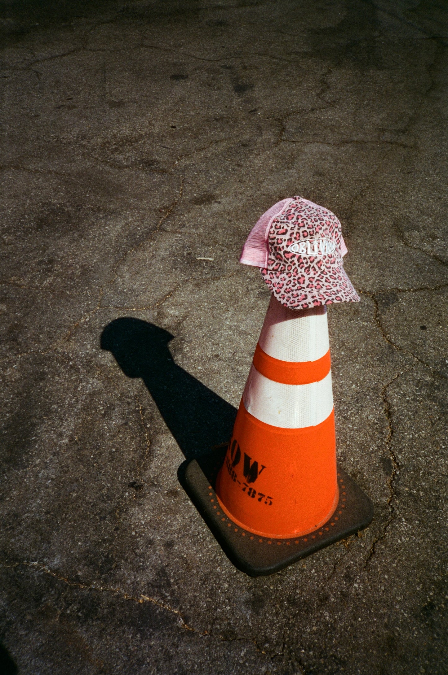 Oblivion Pink Leopard Hat