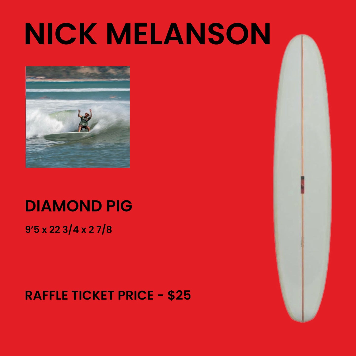 Nick Melanson 9’5 Diamond Pig